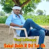 About Sakal Dekh R Dil Tut Ch Song