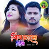 About Bish Dhale Dili Song