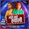 About Ali Meri Syali Song