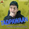 About Tadpawaan Song