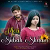 About Meri Subah Shaam Song