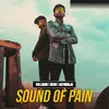 About Sound of Pain Song