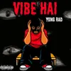 About Vibe hai Song