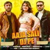 About Aaja Sali Dj Pe Song