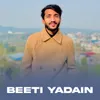About Beeti Yadain Song