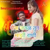 About Ye Na Jawal Tu Ga Mazi Rani (Instrumental) Song