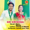 About Sri Krishna Song