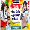 About Bhilwada Nimach Chittod Mai Chal Rahi Meri Charcha Song