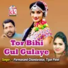 Tor Bihi Gul Gulaye