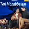 About Teri Mohabbatein Song