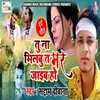 About Tu Na Milbu Ta Mar Jaiyab Ho Song