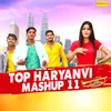 About Top Haryanvi Mashup 11 Song