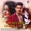 About Chori Chori Chupke Chupke Song