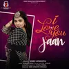 About I Love you Jaan Song