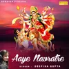 About Aaye Navratre Maa Song