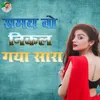 About Samay Vo Nikal Gaya Sara Song