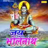 About Jai Bholenath Song