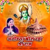 About Ayodhya bol raha shri ram Song