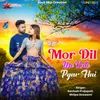 About Mor Dil Me Kate Pyar Hai Song