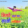 About Milve aaja chhora sarson vale khet mein Song