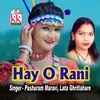 About Hay O Rani Song