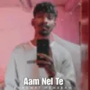 About Aam Nel Te Song