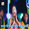 About Hamra Se Rang Na Khele Balamua Song