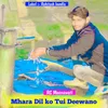 About Mhara Dil ko Tui Deewano Song