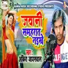 About Jawani Samhrat Naekhe Song