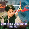 About Dam Mast Qalandar Ali Ali Song