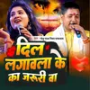 About Dil Lagawala Ke Ka Jaruri Ba Song