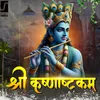 About Shri Krishnashtakam Song