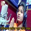 About Niryalva Saiya Bhul Jani Jaieh Song