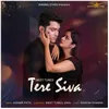 About Tere Siva Song