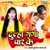 About Dulha Ganga Par Ke Song