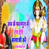 About Abke Fagun Me Rang Denge Balaji Ko Song