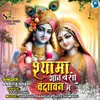 About Shyama Aan Baso Vrundavan Me Song