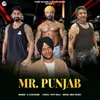 Mr Punjab