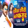 About Chhaura Chhauri Bhelai Farar Song