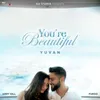 About You're Beautiful Song