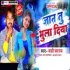 About Jaan Tu Bhula Diya Song