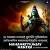 Mahamrityunjay Mantra (Slowed+Reverb)