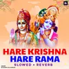 About Hare Krishna Hare Rama (Slowed Reverb) Song