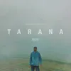 Tarana