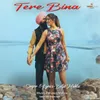 About Tere Bina Song