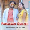 About Pahalvan Gurjar Song