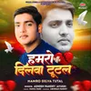 About Hamro Dilva Tutal Song