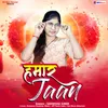 About Hamar Jaan Song