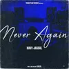 About Never Again Song