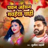 About Pawan Jaisan Gavaiya Chahi Song